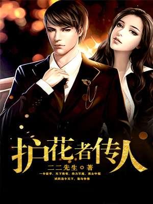 护花使者mv